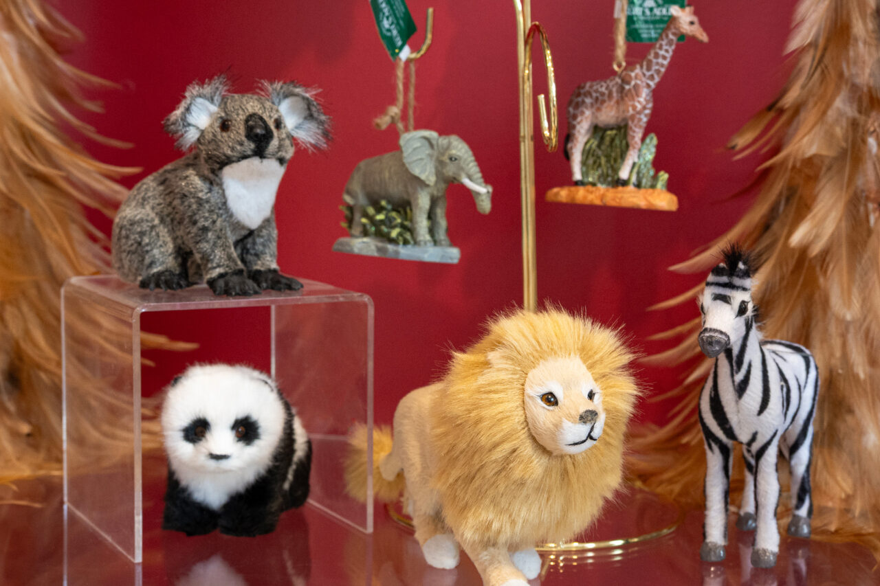 Zoo Animals